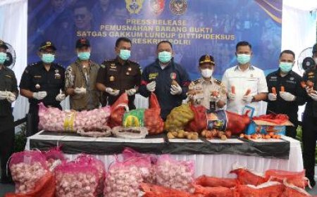 Bareskrim Polri Musnahkan Ribuan Kilogram Bawang Impor Ilegal dari Jalur Tikus Perbatasan Malaysia