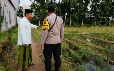 Bhabinkamtibmas Polresta Malang Kota Dampingi Petani, Aiptu Totok Dorong Swasembada Jagung