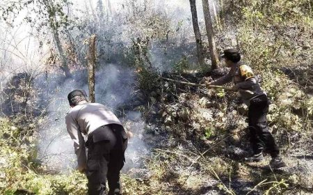 Respon Cepat Call Center 110 Polres Ngawi, Kebakaran Lahan di Bukit Gogor Sine Berhasil Dipadamkan
