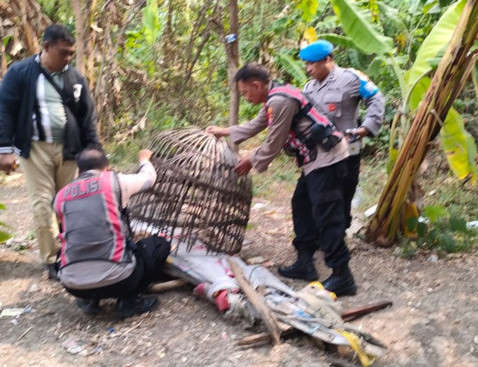 Respon Laporan Warga, Polresta Sidoarjo Bongkar Arena Sabung Ayam Dua Lokasi